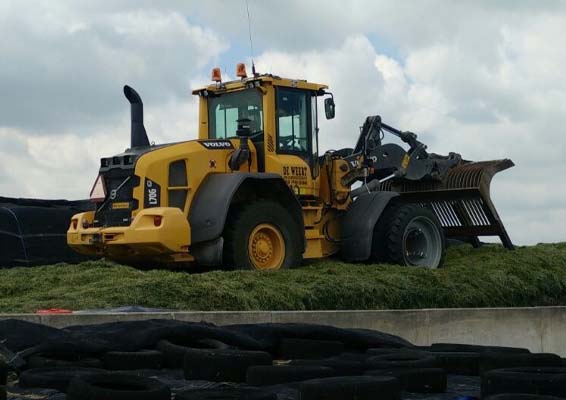 kuilbult vullen shovel weert